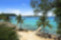 Hero Snorkelers Cove-1.jpg