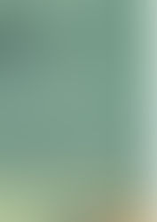 BOPRC Searching For Escaped/Released Eastern Water Dragon