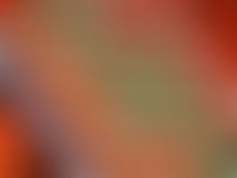 Whakātane Lotto Player An Instant Millionaire