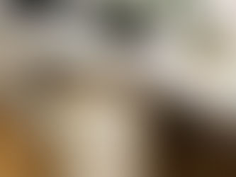 Бюлетин Февруари 2020