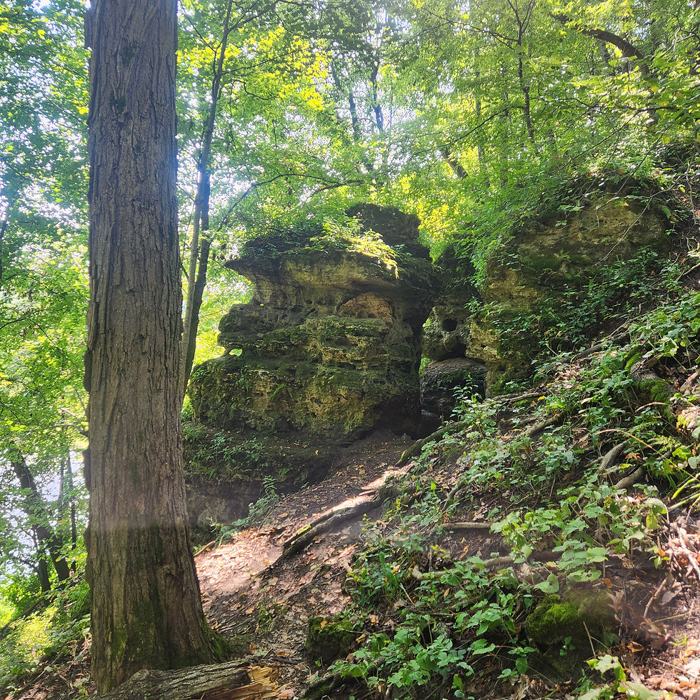 Backbone State Park, NE Iowa (9-10-25)