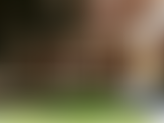 Decline in Funding Sees Arts Institutions in Strife