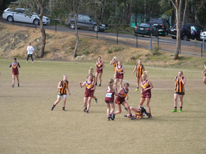 Audio interview: How to prevent ACL injuries in the next generation of AFLW players