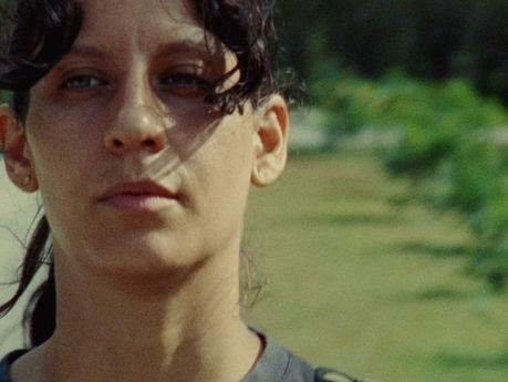 MIFF International Shorts 2025: Rejecting Environment, Embracing Nature