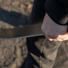 Victoria's Machete Crisis