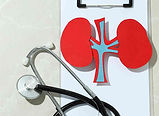 kidney health nutrition hkcda