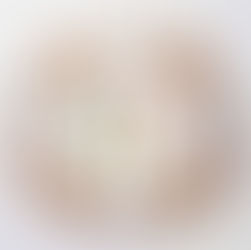 每天飲食建議份量 Patient handout (附圖片) - 2歲以上至成人適用