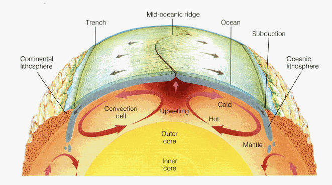 convection