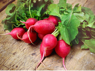 Radis ? Vous avez dit radis?