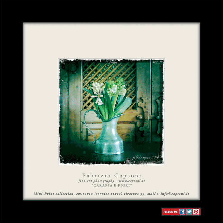 Mini-Print Caraffa e fiori
