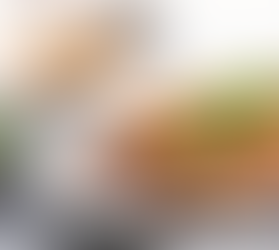 Learning to Cook Your Own Tofu: A Vegan's Guide