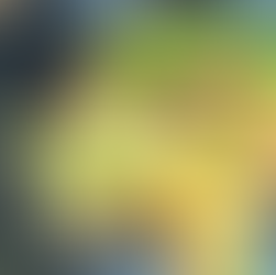 Unisoy Jerky Fried Rice