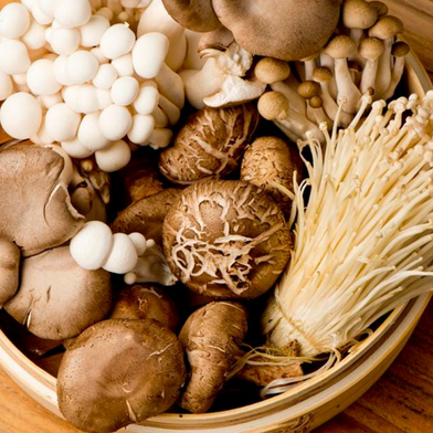 3 Surprising Health Benefits of Mushrooms & How to Incorporate Them Into Your Diet