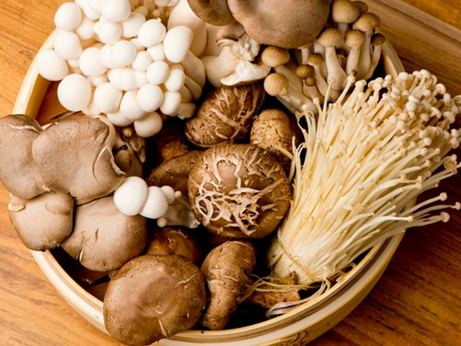 3 Surprising Health Benefits of Mushrooms & How to Incorporate Them Into Your Diet