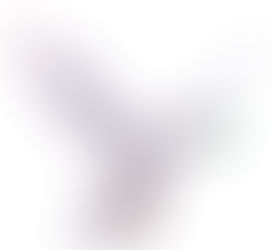 The Joy of Christmas