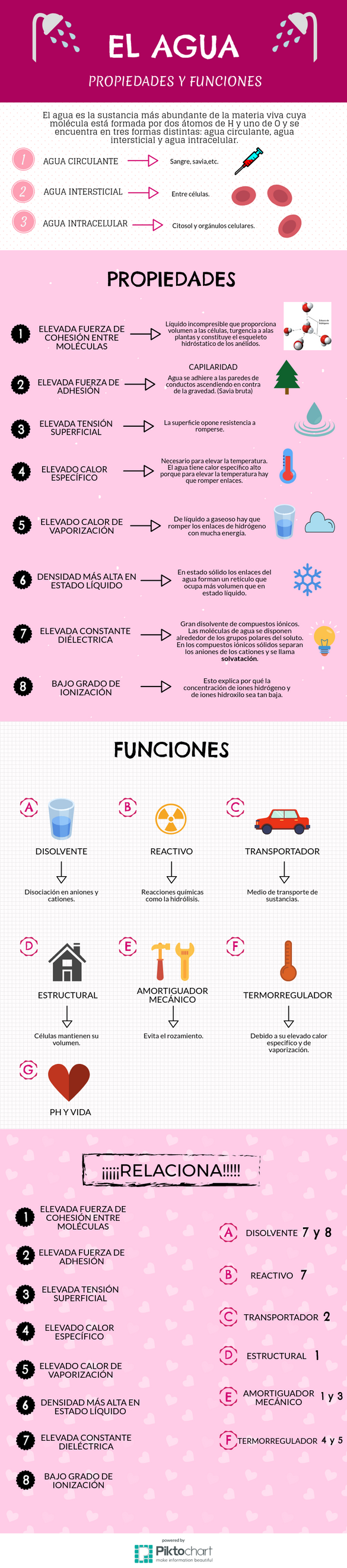 PROPIEDADES Y FUNCIONES DEL AGUA