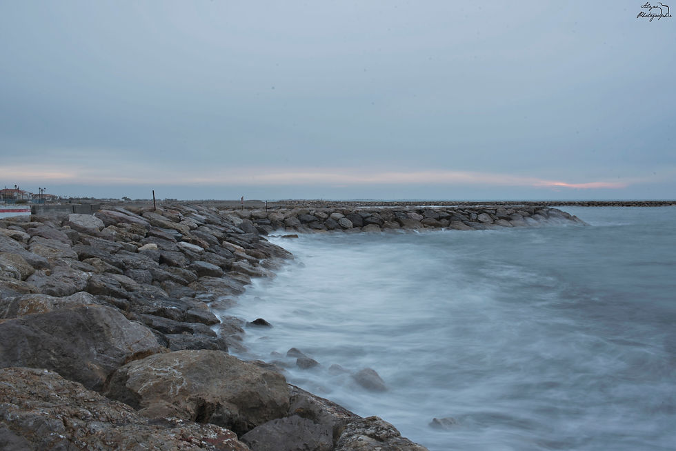 _DSC3173