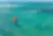 téléchargement (6).webp