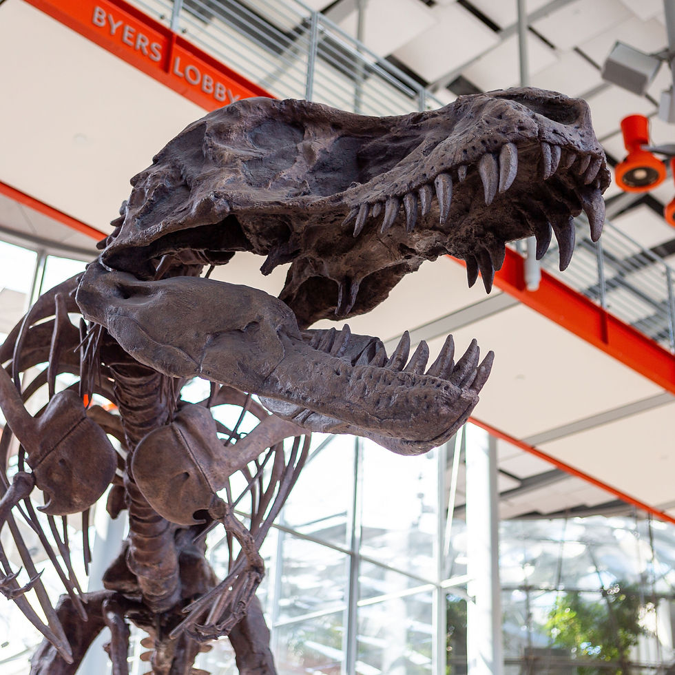 WOW presents- Discovering the California Academy of Sciences: Science, Sustainability, and Wonder