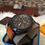 Thumbnail: Fossil FS5714 50mm L3200