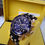 Miniature : Invicta 17882 Pro Diver Negro-azul hombre 48mm