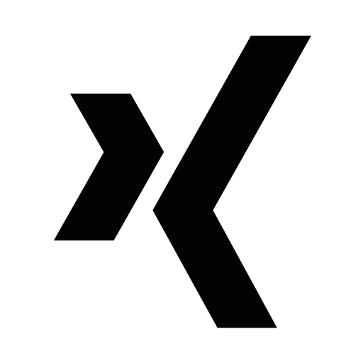 xing-512.gif