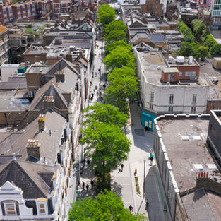 Powis Street | Woolwich