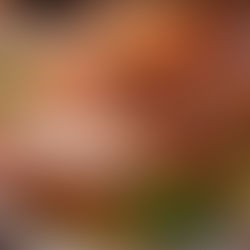 Copy of Copy of Roast Crackling Leg Ham with Golden Syrup Baked Apples