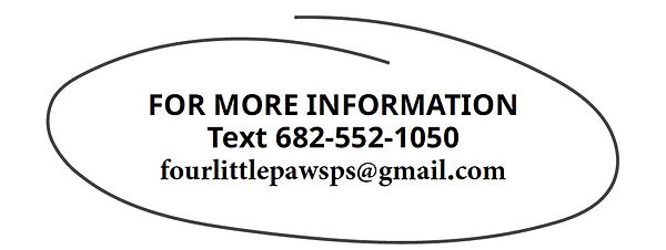 phone and email