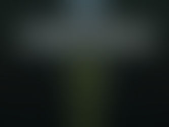 Apocalipse nos Trópicos; Documentário de Petra Costa é apontado como forte candidato ao Oscar 2026