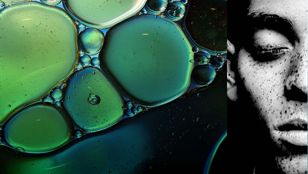 CELLULES 2.jpg
