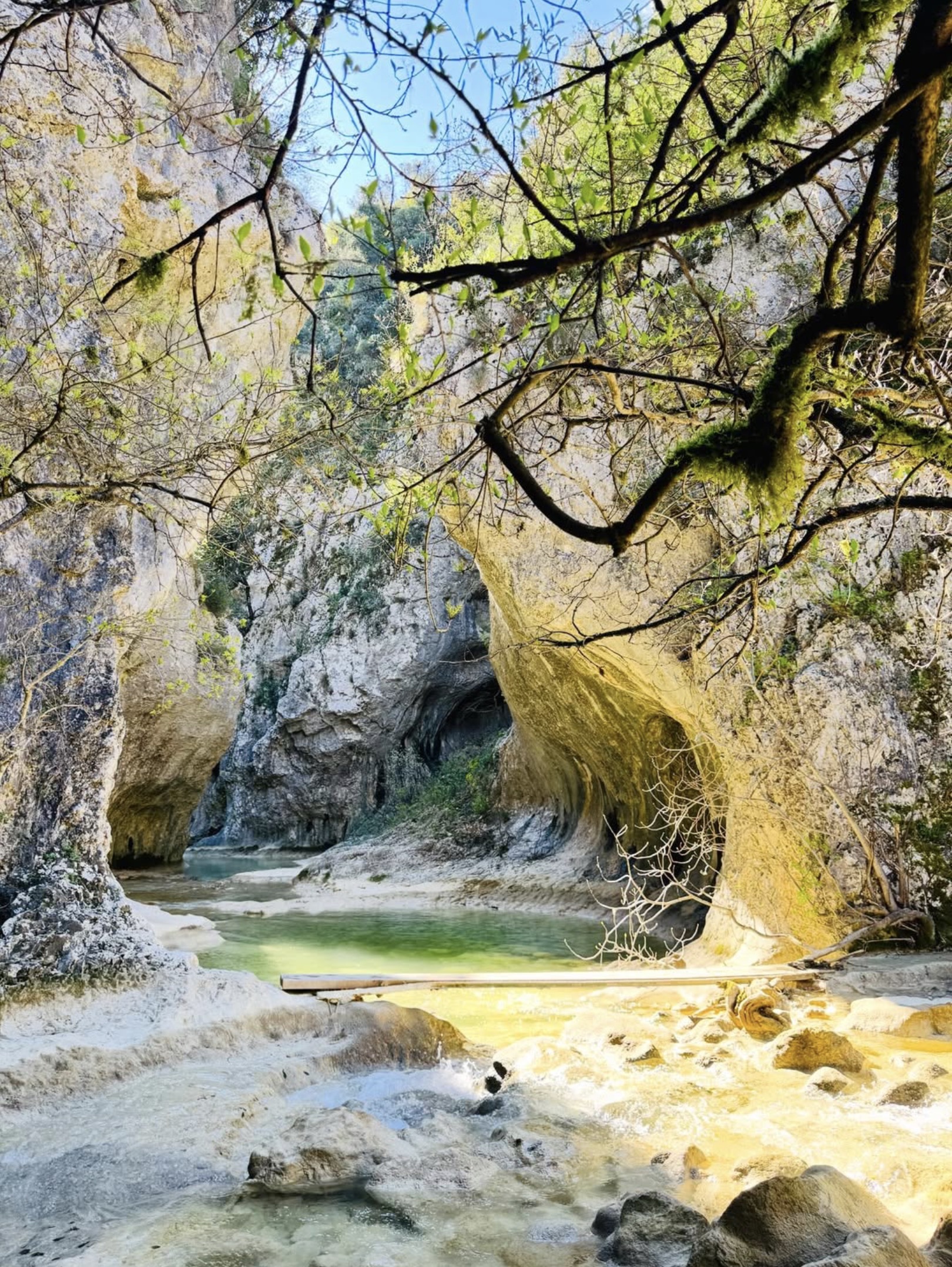 IMAGE NATURE FROM INSTA TIPHAINE.jpg
