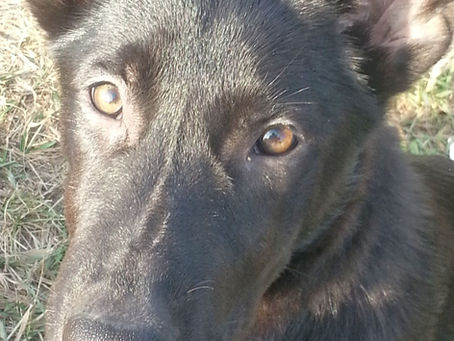 The Star- Hope when you need it most.