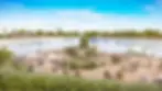 Surf-Park-01-investbh.webp