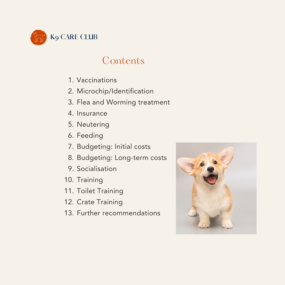 contents page for an ebook