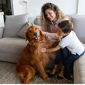 a mother and child pet a dog