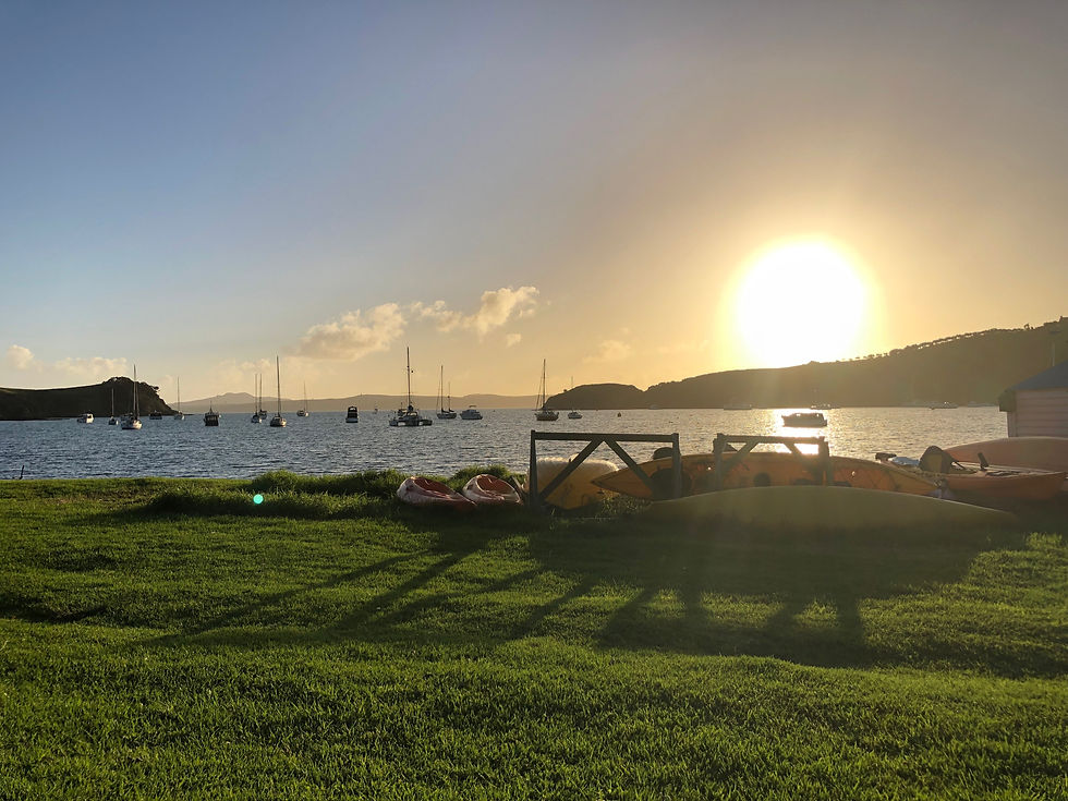 Thank you for everything, NZ <3