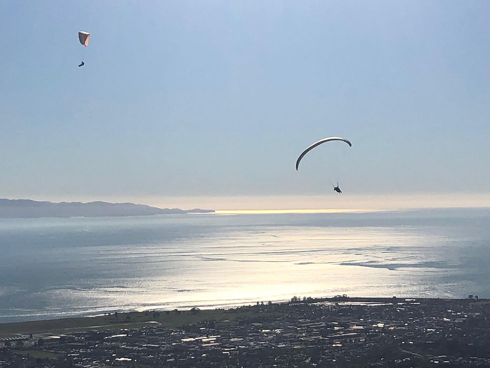 above it all (Nelson, NZ)