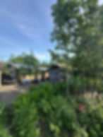 home care virtual professional