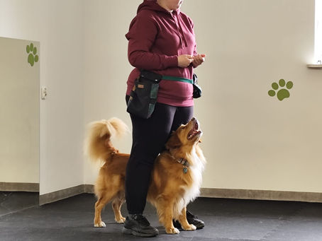 Seminarium obedience z Magdą Stodułko