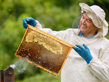 Social Media für Imker:innen