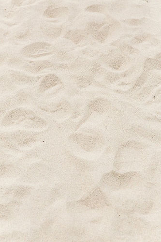 LA%20to%20San%20Francisco%20in%20a%20Day