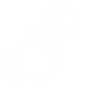 PILOT PARTNER PRICING.png