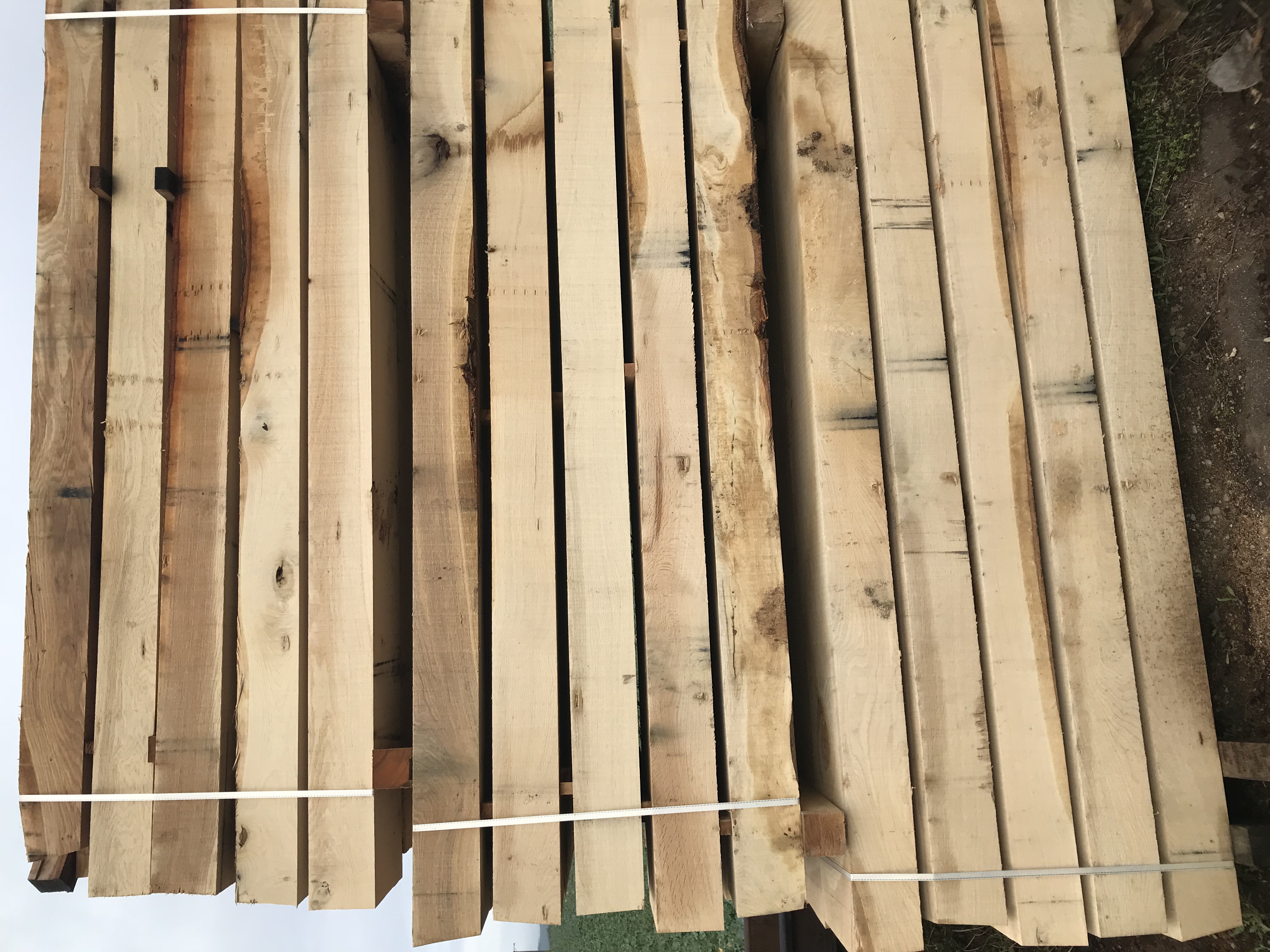 OAK SQUARES