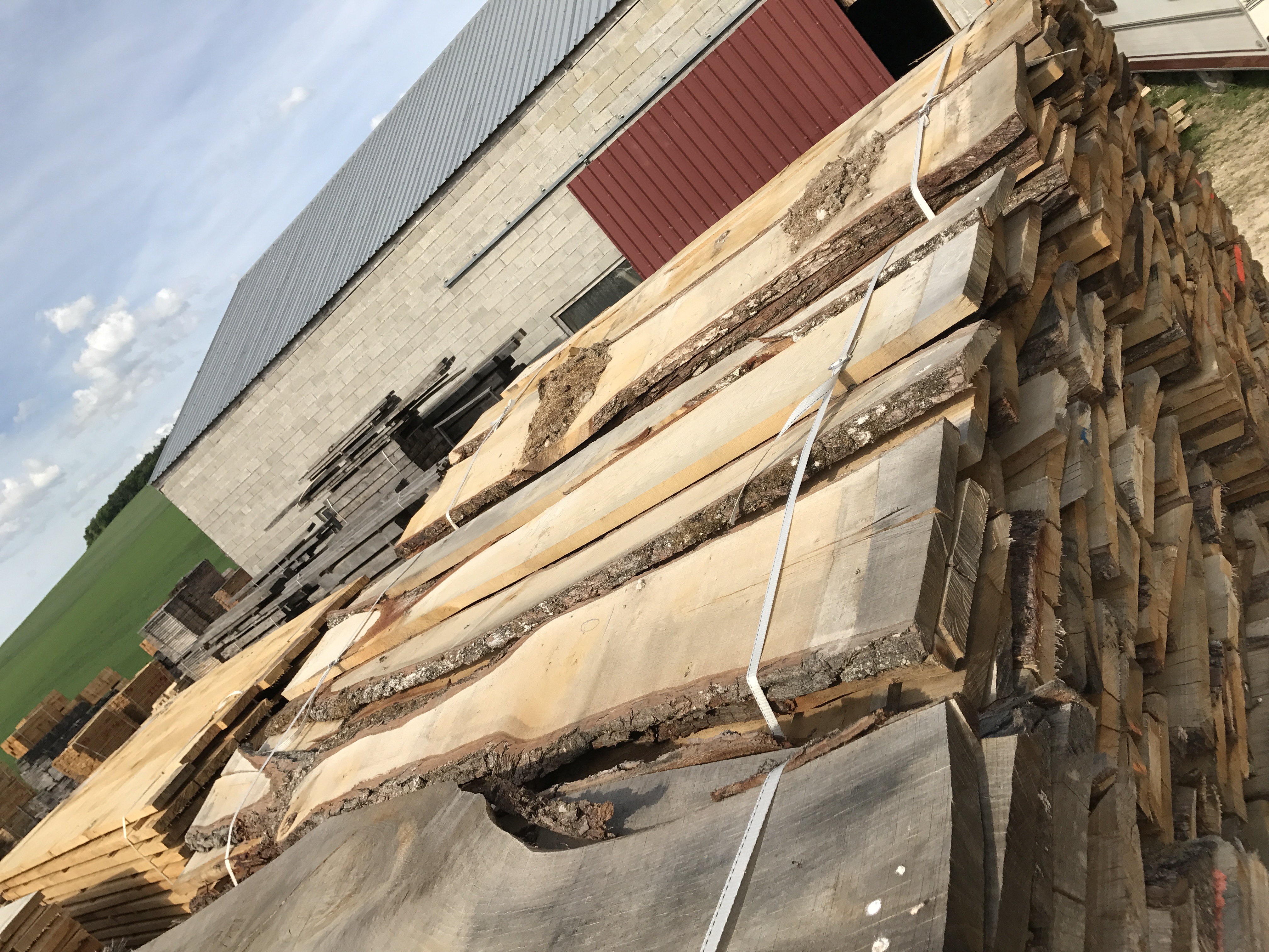 SELECTED PLANKS
