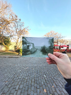 Foto 10