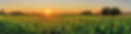 iStock-1332210040.jpg