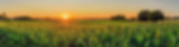 iStock-1332210040.jpg