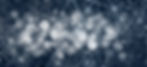 ai services bg.jpg