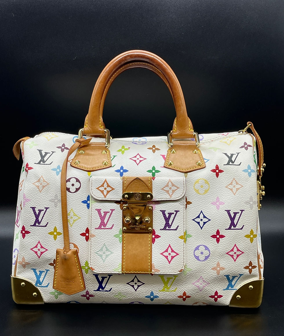 BORSA LOUIS VUITTON SPEEDY MULTICOLOR
